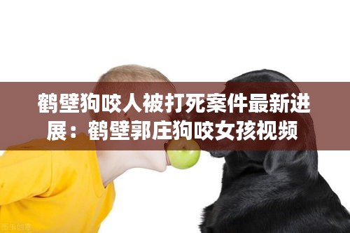 鶴壁狗咬人被打死案件最新進(jìn)展:鶴壁郭莊狗咬女孩視頻