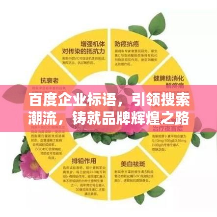 百度企業標語，引領搜索潮流，鑄就品牌輝煌之路