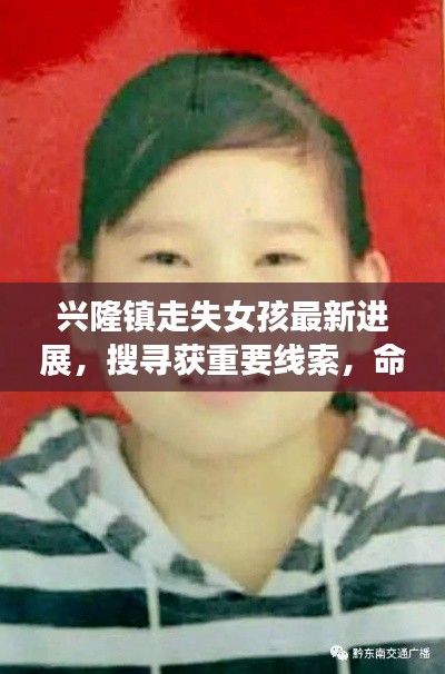 興隆鎮走失女孩最新進展,搜尋獲重要線索,命運牽動人心