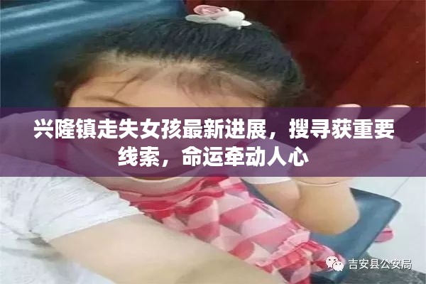 興隆鎮走失女孩最新進展,搜尋獲重要線索,命運牽動人心