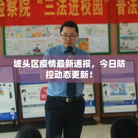 坡頭區疫情最新通報,今日防控動態更新!