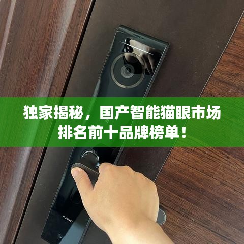 獨家揭秘,國產智能貓眼市場排名前十品牌榜單!