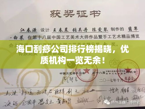 海口刮痧公司排行榜揭曉,優質機構一覽無余!
