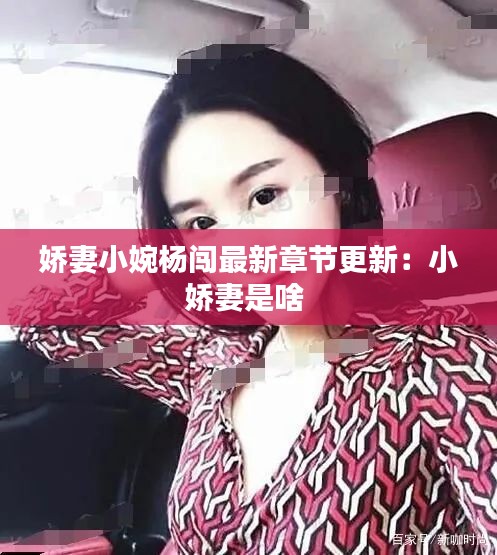 嬌妻小婉楊闖最新章節(jié)更新:小嬌妻是啥