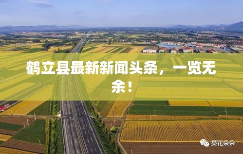 鶴立縣最新新聞頭條,一覽無余!