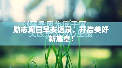 勵(lì)志周日早安語(yǔ)錄,開(kāi)啟美好新篇章!
