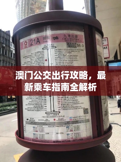 澳門公交出行攻略,最新乘車指南全解析