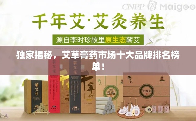 明夷于飛 第4頁