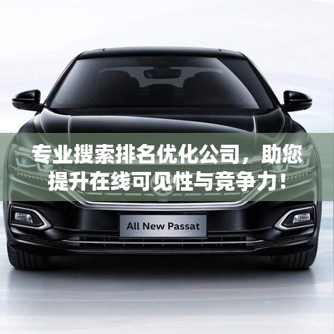 專業(yè)搜索排名優(yōu)化公司,助您提升在線可見性與競爭力!