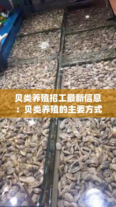 貝類養殖招工最新信息:貝類養殖的主要方式有哪些