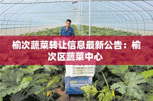 榆次蔬菜轉(zhuǎn)讓信息最新公告:榆次區(qū)蔬菜中心