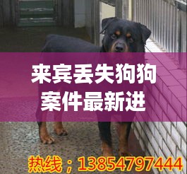 來(lái)賓丟失狗狗案件最新進(jìn)展:來(lái)賓狗養(yǎng)殖基地在哪里