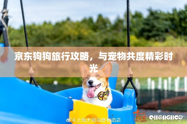 京東狗狗旅行攻略,與寵物共度精彩時光