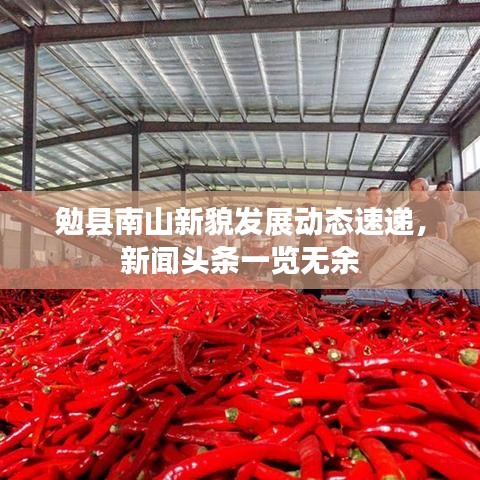 勉縣南山新貌發展動態速遞,新聞頭條一覽無余