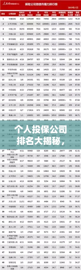 個(gè)人投保公司排名大揭秘,市場(chǎng)領(lǐng)先者一覽