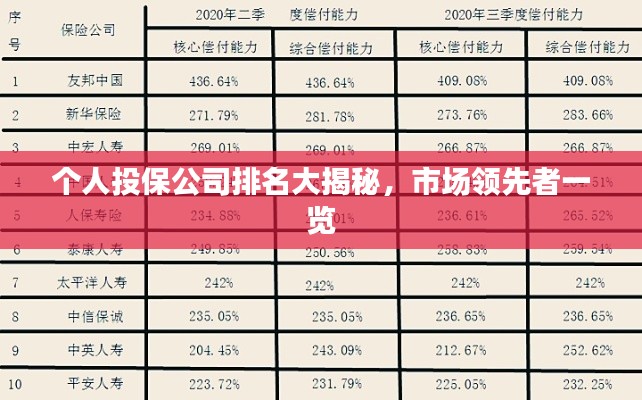 個(gè)人投保公司排名大揭秘,市場(chǎng)領(lǐng)先者一覽