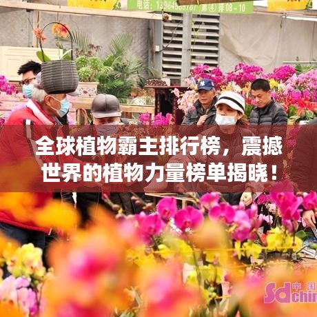 全球植物霸主排行榜,震撼世界的植物力量榜單揭曉!