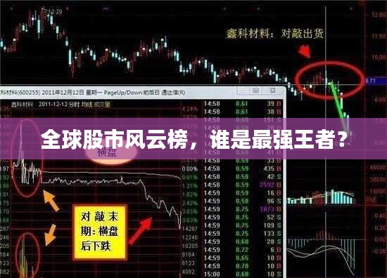 全球股市風云榜，誰是最強王者？