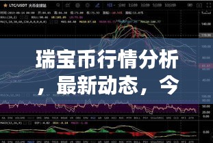 瑞寶幣行情分析,最新動態,今日走勢一網打盡!