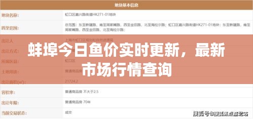 蚌埠今日魚價實時更新,最新市場行情查詢