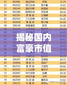 揭秘國內(nèi)富豪市值排名前十,誰是真正的億萬富翁?