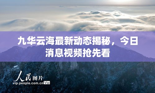 九華云海最新動態揭秘，今日消息視頻搶先看