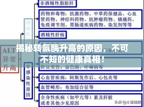 揭秘轉氨酶升高的原因,不可不知的健康真相!