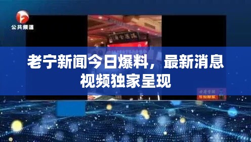 老寧新聞今日爆料,最新消息視頻獨家呈現