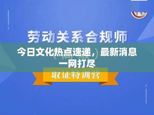 今日文化熱點速遞,最新消息一網打盡