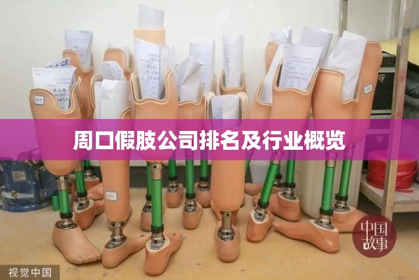 周口假肢公司排名及行業(yè)概覽