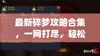 最新碎夢攻略合集，一網(wǎng)打盡，輕松掌握游戲技巧！