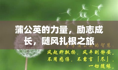 蒲公英的力量,勵志成長,隨風扎根之旅
