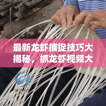 最新龍蝦捕捉技巧大揭秘,抓龍蝦視頻大全,體驗樂趣無限!