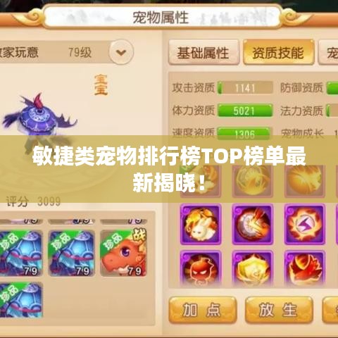 敏捷類寵物排行榜TOP榜單最新揭曉!
