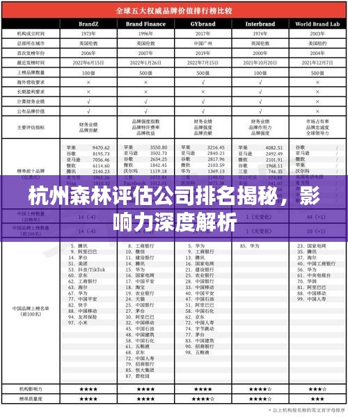杭州森林評估公司排名揭秘，影響力深度解析
