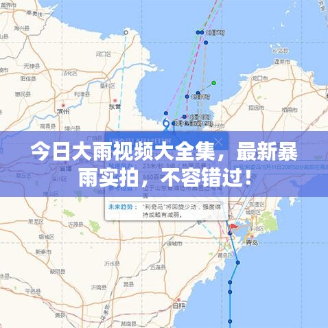 今日大雨視頻大全集，最新暴雨實拍，不容錯過！