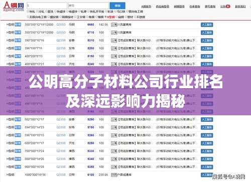 公明高分子材料公司行業排名及深遠影響力揭秘