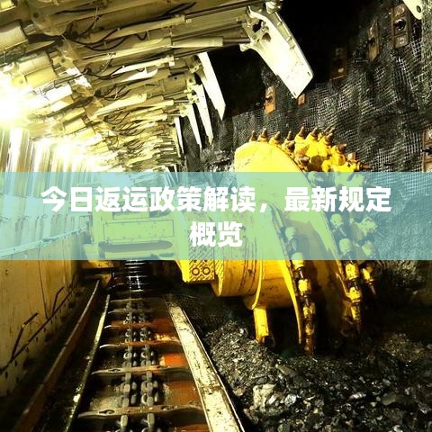 今日返運政策解讀,最新規定概覽