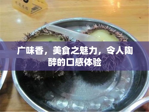 廣味香,美食之魅力,令人陶醉的口感體驗(yàn)