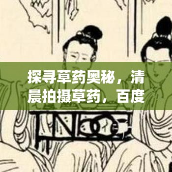 貴人多忘事 第4頁
