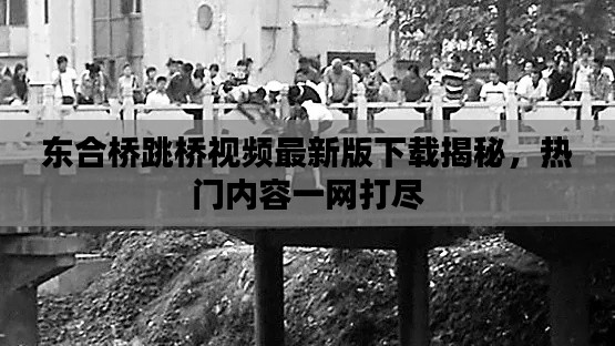 東合橋跳橋視頻最新版下載揭秘，熱門內容一網打盡