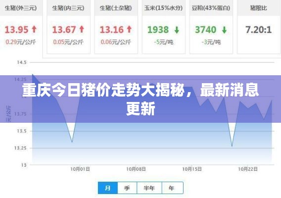 重慶今日豬價走勢大揭秘,最新消息更新