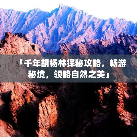 「千年胡楊林探秘攻略,暢游秘境,領略自然之美」