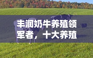 豐潤奶牛養(yǎng)殖領(lǐng)軍者,十大養(yǎng)殖企業(yè)榮耀上榜