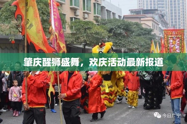 肇慶醒獅盛舞,歡慶活動(dòng)最新報(bào)道