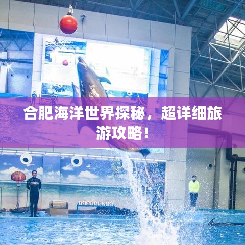 合肥海洋世界探秘，超詳細(xì)旅游攻略！