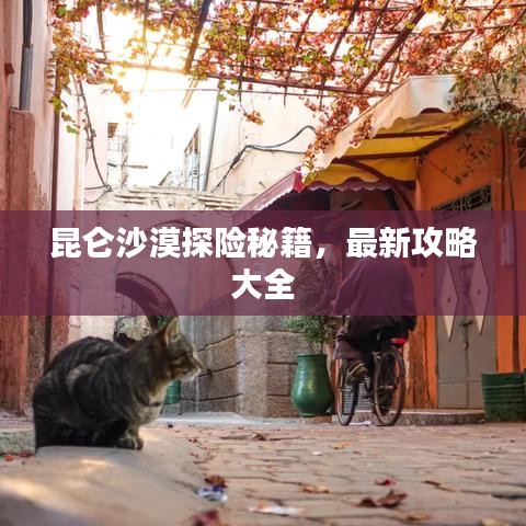 昆侖沙漠探險秘籍，最新攻略大全