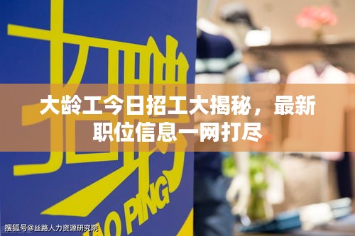 大齡工今日招工大揭秘，最新職位信息一網打盡