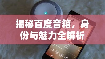 揭秘百度音箱,身份與魅力全解析