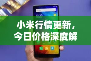 小米行情更新,今日價格深度解析